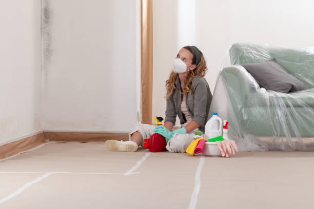 Reliable Mold Cleanup contractor in Bellaire, MI by WQB Mold Removal